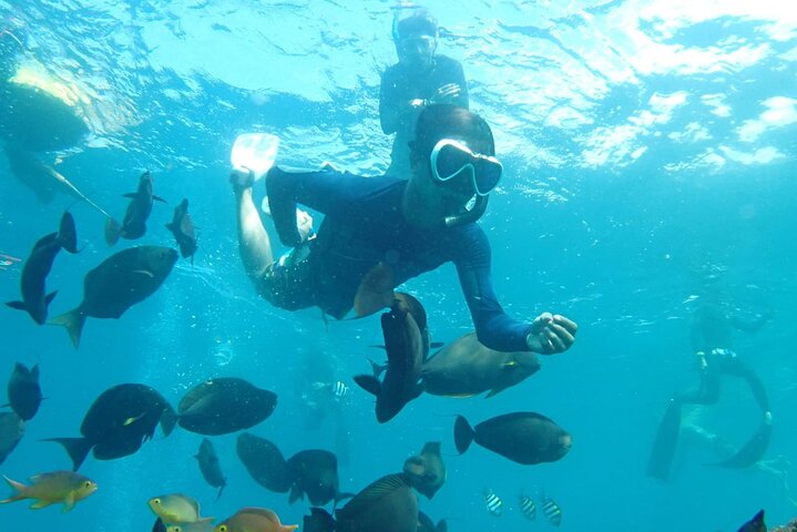 Tulamben Safari Snorkeling Adventure at Coral Garden Private Experience