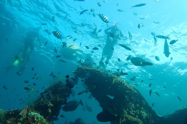 Tulamben Safari Snorkeling Adventure at Coral Garden Private Experience