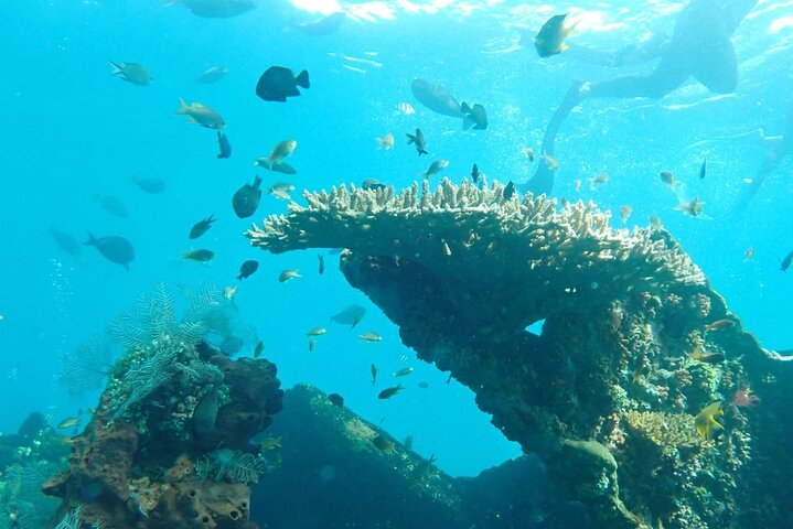 Tulamben Safari Snorkeling Adventure at Coral Garden Private Experience