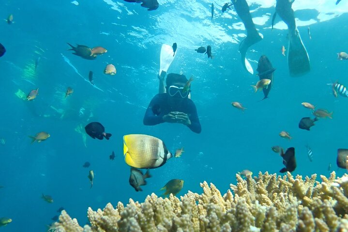 Tulamben Safari Snorkeling Adventure at Coral Garden Private Experience