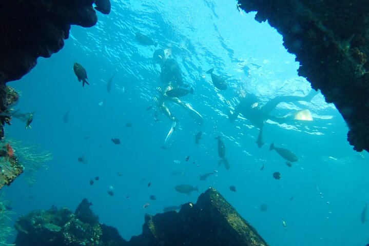 Tulamben Safari Snorkeling Adventure at Coral Garden Private Experience