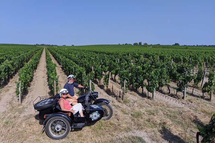 Private ride through the vineyards from Saint-Emilion - 1h30