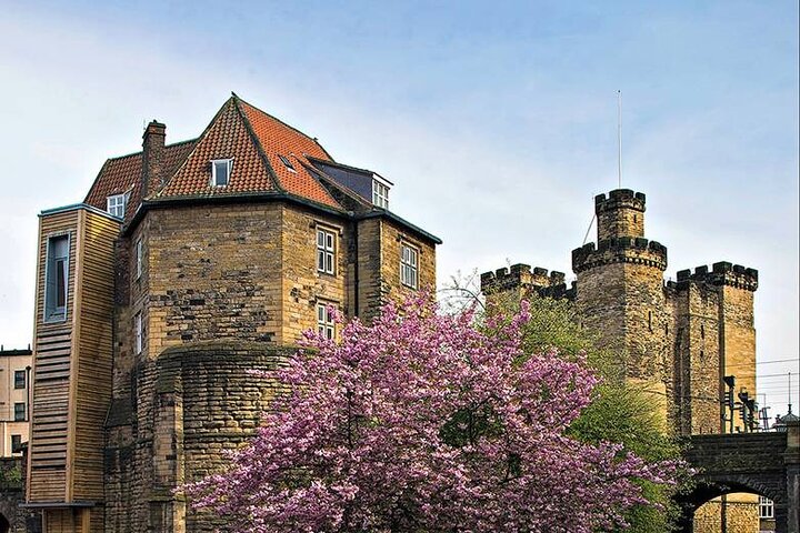90 minute Old Newcastle Walking Tour - FREE castle entry