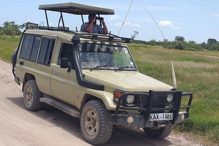 Private Game Drive in Maasai Mara