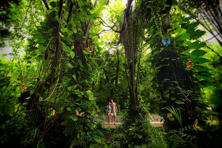 Xcaret Park Day Trip, transportation and Cultural Night Show
