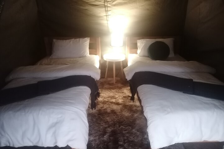 Two day Kruger National Park Safari from Johannesburg