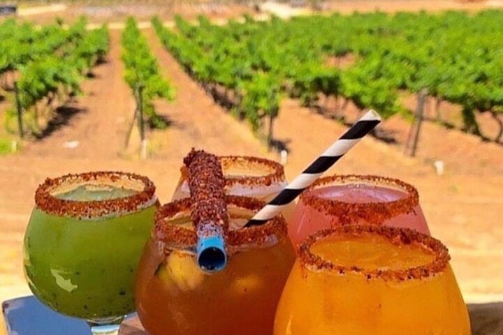Wine tasting Valle de Guadalupe & Casa Frida