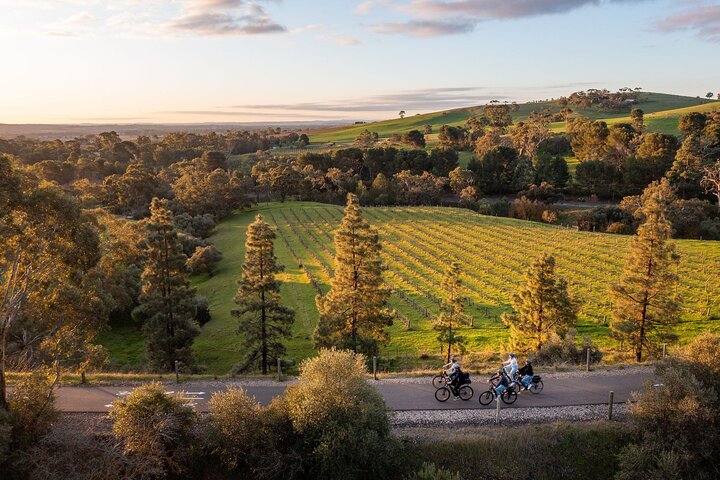 Experience Barossa Valley by E-bike