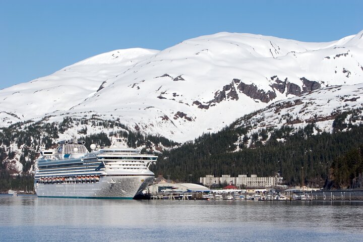Whittier to Anchorage Cruise Transfer & Wildlife Tour