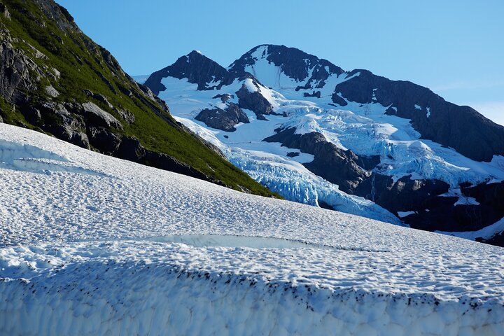 Whittier to Anchorage Cruise Transfer & Wildlife Tour