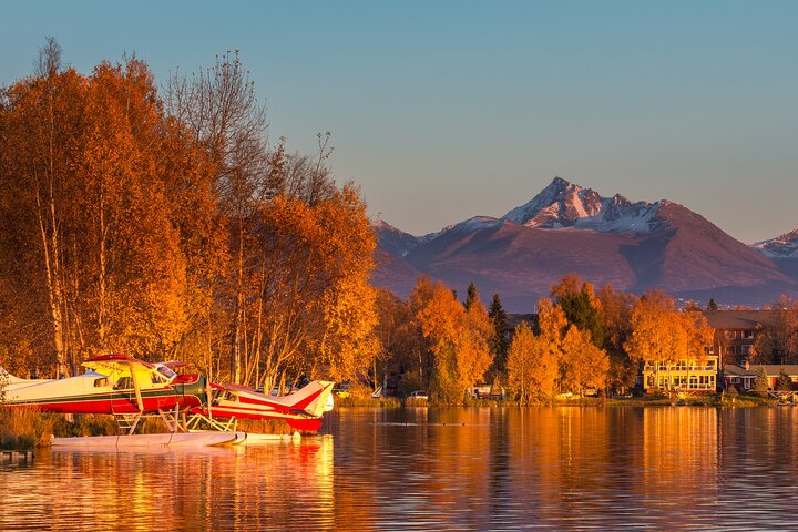 Whittier to Anchorage Cruise Transfer & Wildlife Tour