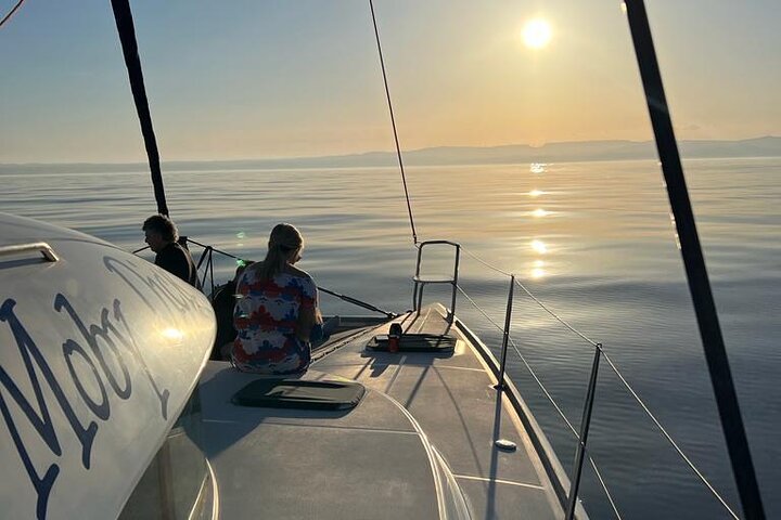Dolphin trips on a catamaran
