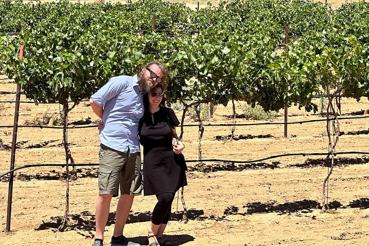 Scenic Desert Wine Distillery Brewery Route 66 Tour