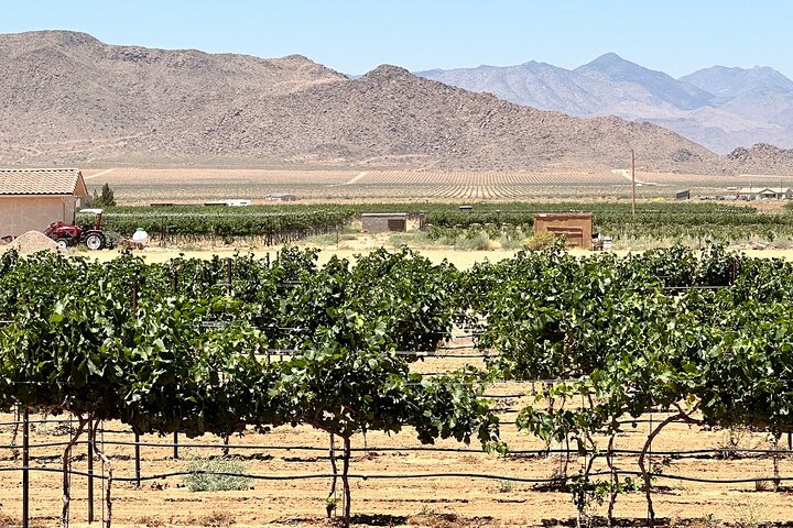 Scenic Desert Wine Distillery Brewery Route 66 Tour
