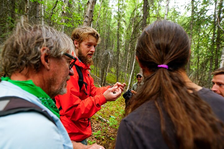 Denali Park Nature Walk (3 Hours) w/Expert Naturalist
