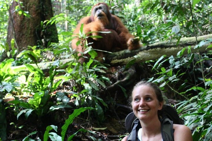 Bukit lawang 2 Day 1 Night with camping