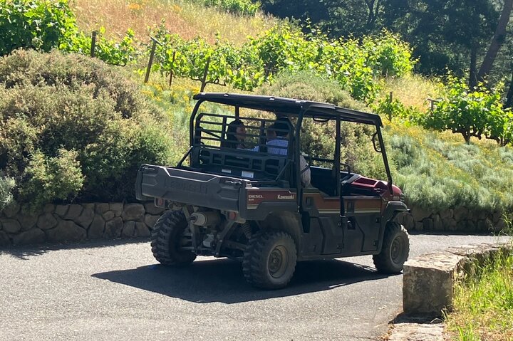 Best Private Wine Tour of Napa and Sonoma: Up to 8 People