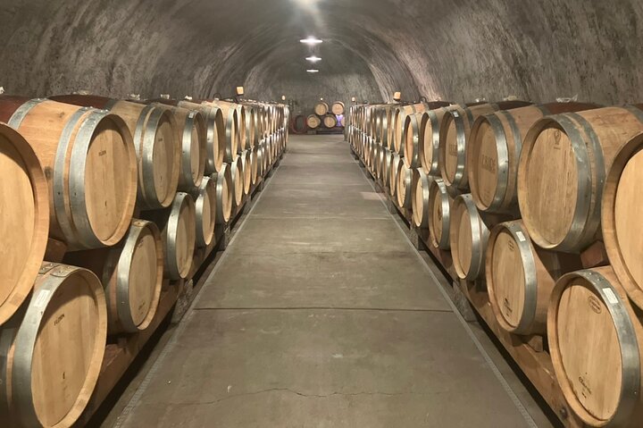 Best Private Wine Tour of Napa and Sonoma: Up to 8 People