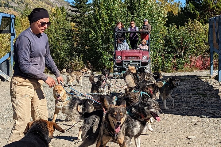 Summer Sled Dog Remote Yukon Camp & Summit Tour