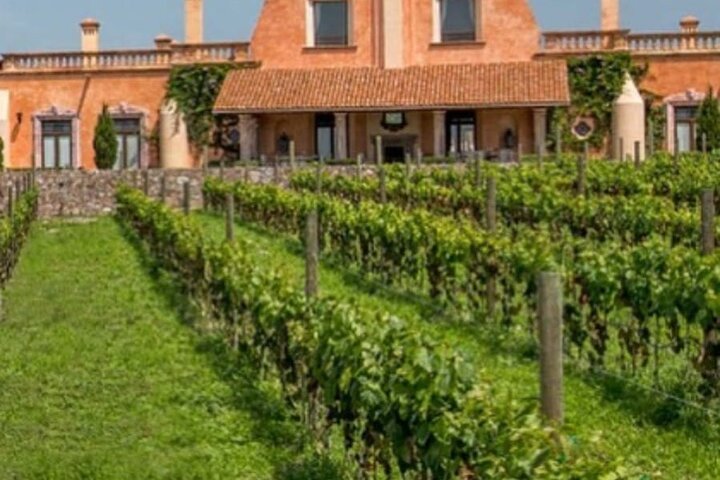 Vineyard, tour, tasting and fun in San Miguel de Allende