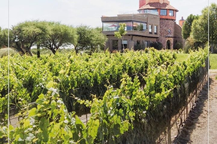 Vineyard, tour, tasting and fun in San Miguel de Allende