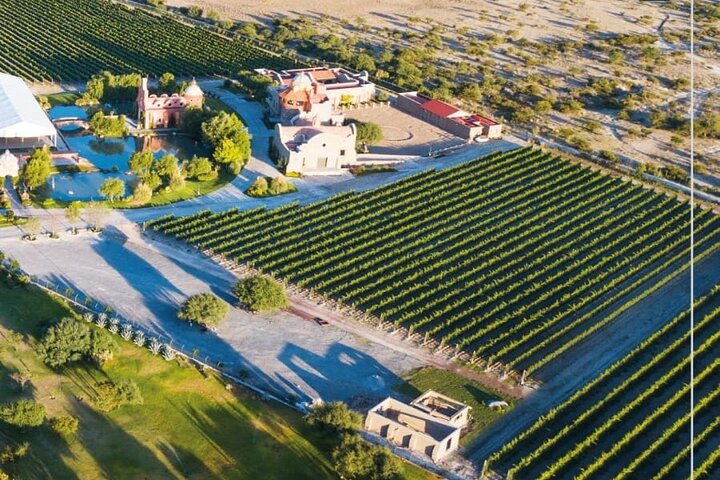Vineyard, tour, tasting and fun in San Miguel de Allende
