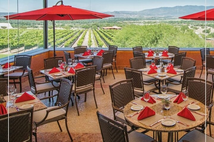 Vineyard, tour, tasting and fun in San Miguel de Allende