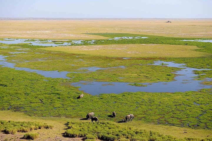 3 Days Amboseli by Flight from Mombasa / Diani (min 2 persons)