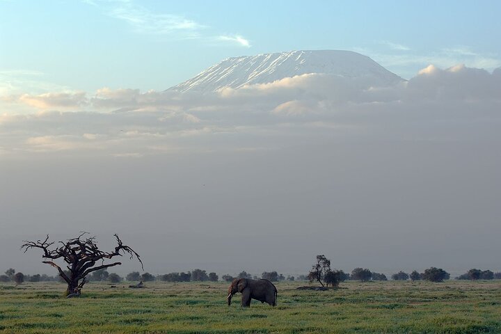 3 Days Amboseli by Flight from Mombasa / Diani (min 2 persons)