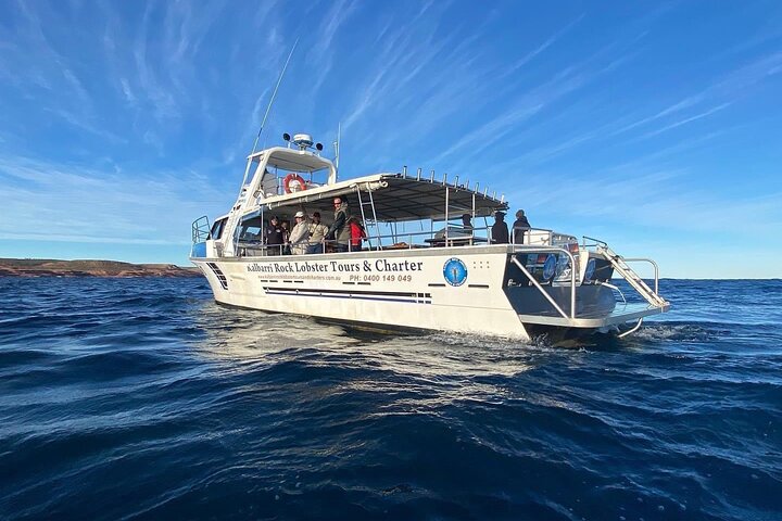 Kalbarri Whale Watching Tour