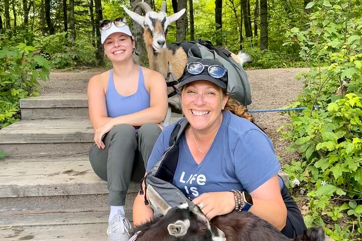 Goat Hiking, Beaver Dam Visit and picnic in Quebec forest