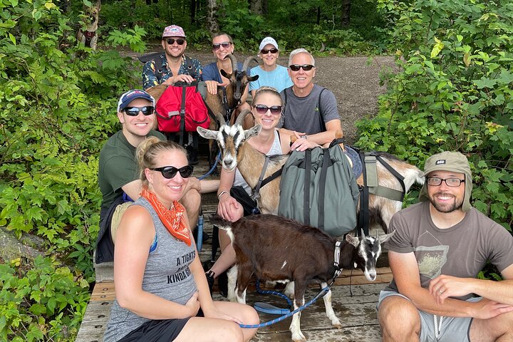 Goat Hiking, Beaver Dam Visit and picnic in Quebec forest