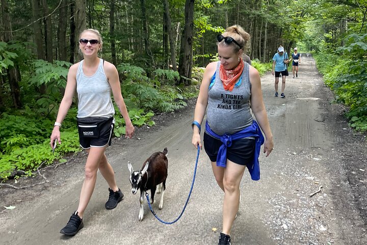 Goat Hiking, Beaver Dam Visit and picnic in Quebec forest