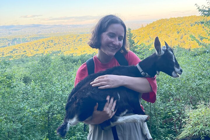 Goat Hiking, Beaver Dam Visit and picnic in Quebec forest