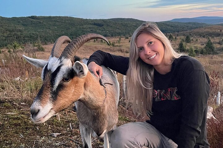 Goat Hiking, Beaver Dam Visit and picnic in Quebec forest