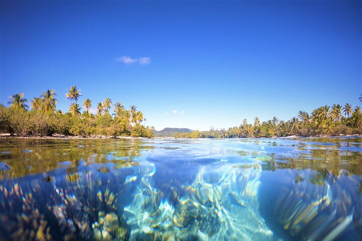 Raiatea-Tahaa Snorkeling in our beautiful Coral Garden