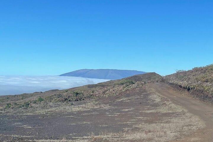 Galapagos Hiking excursion to Sierra Negra Volcano & Lava Fields