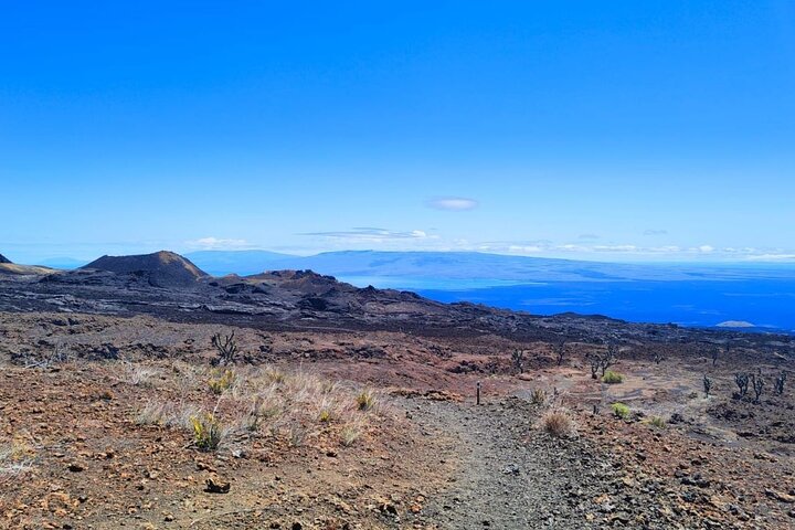Galapagos Hiking excursion to Sierra Negra Volcano & Lava Fields