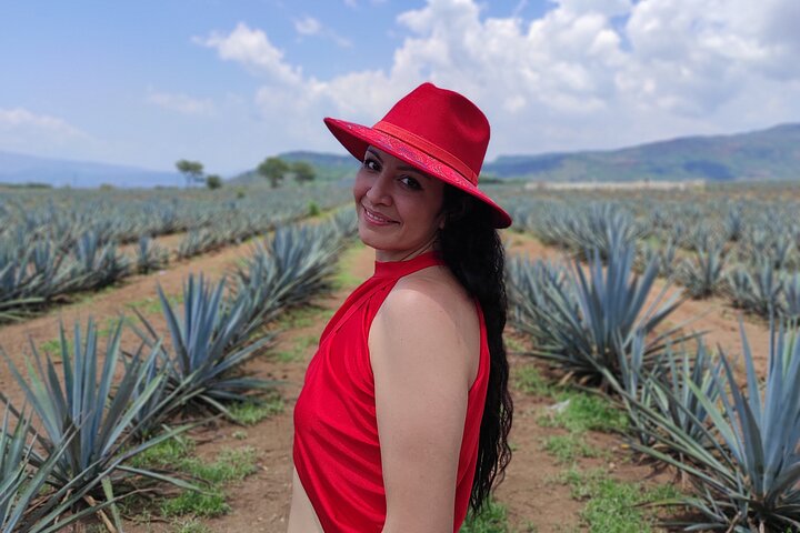 Full Day in Tequila with Tasting and party in Cantaritos