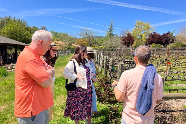 Best Private Wine Tour of Napa and Sonoma: Up to 8 People