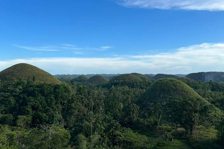 Bohol Day Tour with Round-Trip Transfers from Cebu