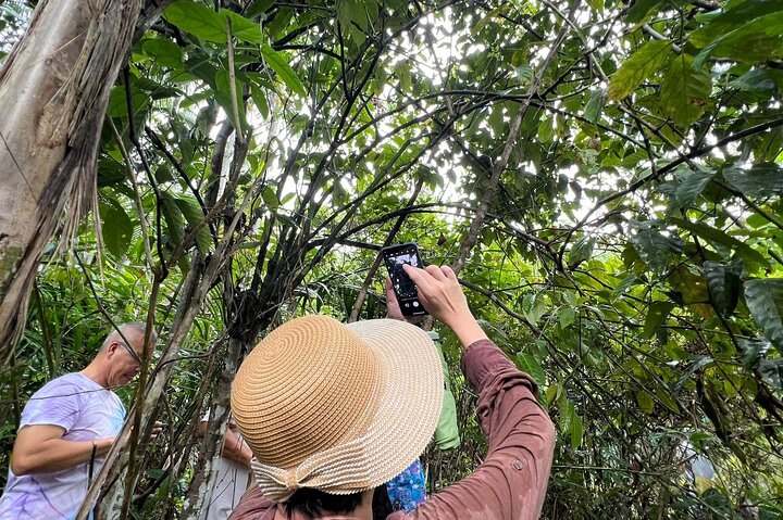 Bohol Day Tour with Round-Trip Transfers from Cebu