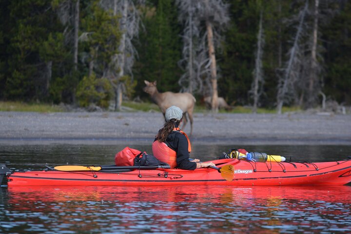 Small-Group Sunset Kayaking Tour on Lake Yellowstone