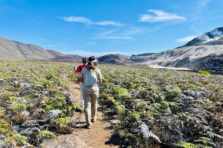 Half-Day Private Tour in Sierra Negra Volcano's Sulfur fumaroles