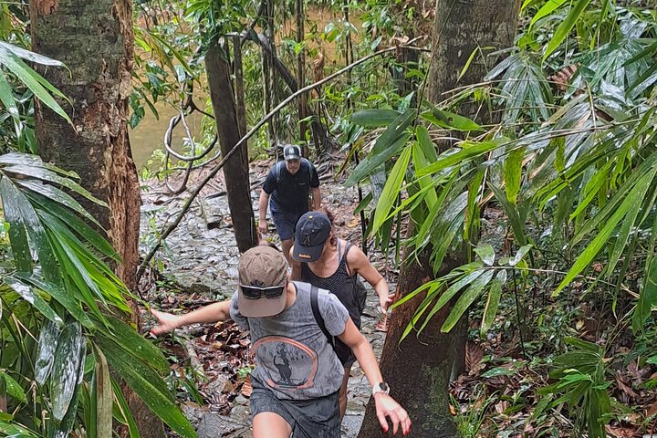 Kanneliya Rain Forest Tour