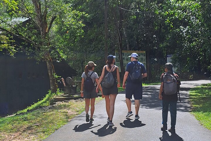Kanneliya Rain Forest Tour