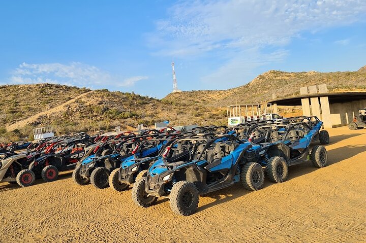 NEW!! Camel Ride and UTV Combo with Tequila Tasting Los Cabos