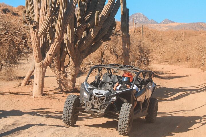 NEW!! Camel Ride and UTV Combo with Tequila Tasting Los Cabos