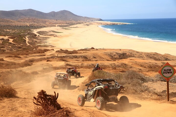 NEW!! Camel Ride and UTV Combo with Tequila Tasting Los Cabos
