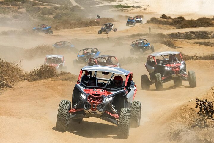NEW!! Camel Ride and UTV Combo with Tequila Tasting Los Cabos